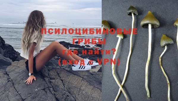 марки nbome Арсеньев
