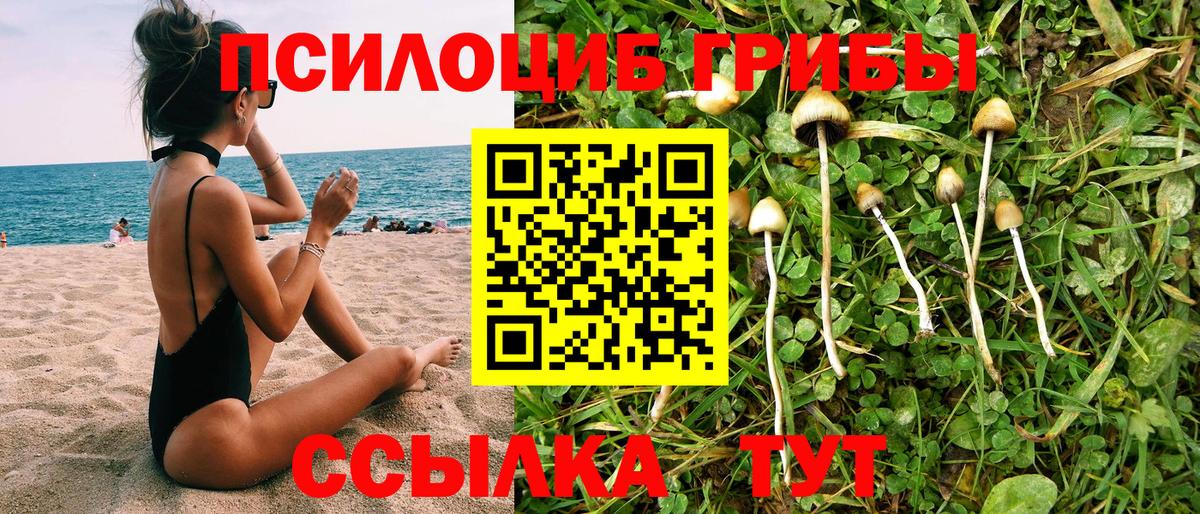 Псилоцибиновые грибы Cubensis  Галлюциногенные грибы ЛСД  Спасск-Дальний  Вход с VPN 